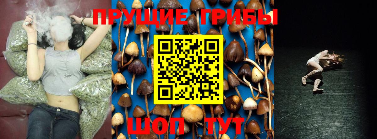 Галлюциногенные грибы ЛСД  Вход с VPN  Псилоцибиновые грибы мицелий  Йошкар-Ола 